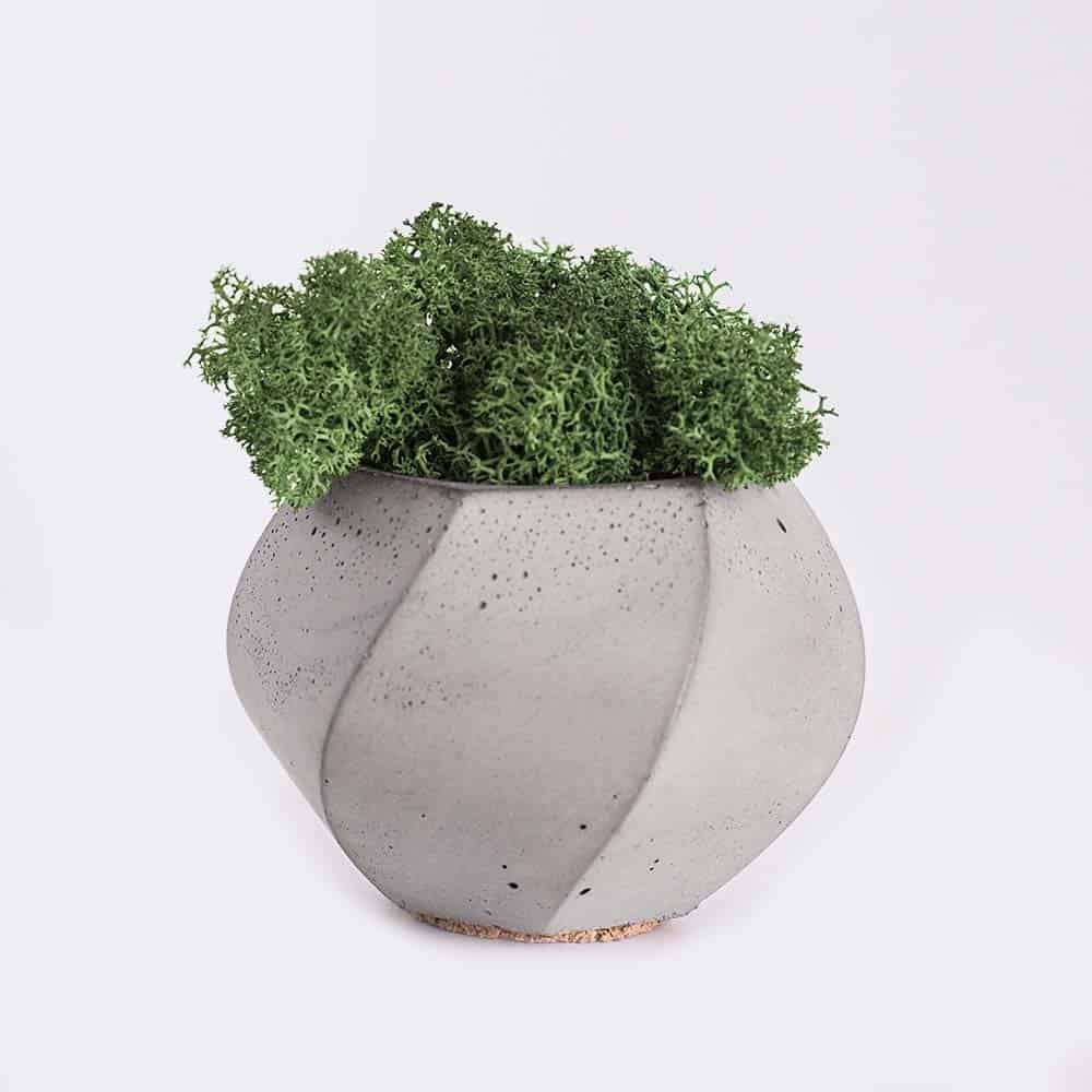 Inicio Plant4 Free Img