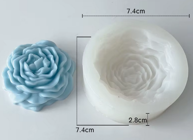 peonia mediana peonia mediana