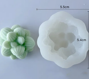 suculenta solar (copia)